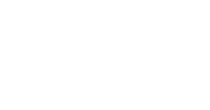 vast-min